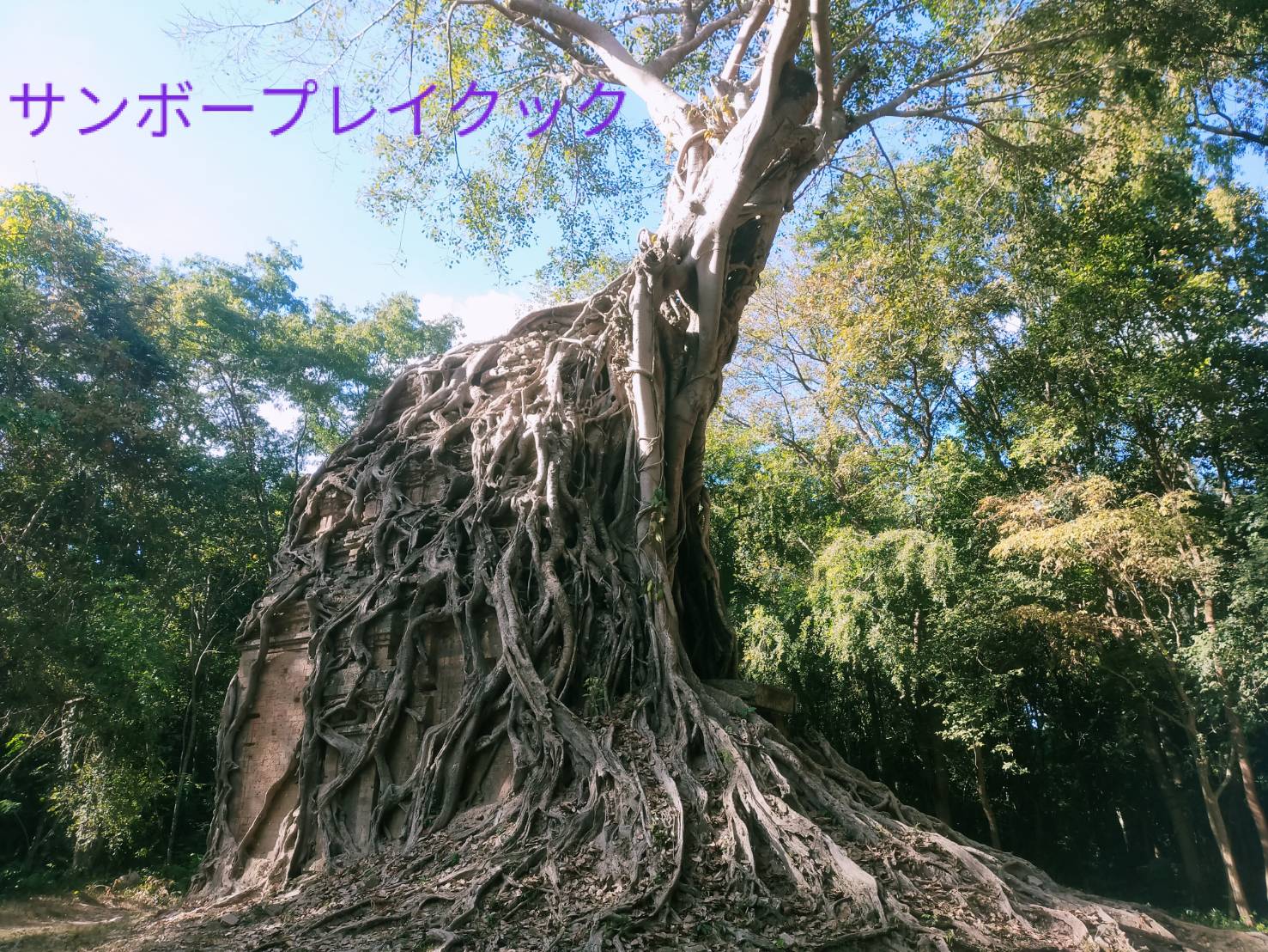 サンボープレイクック遺跡群をおすすめです。